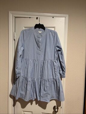 J. Crew Blue and White Striped Button-Front Shirt